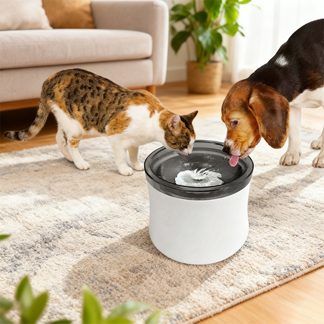 Pet Water Dispenser
