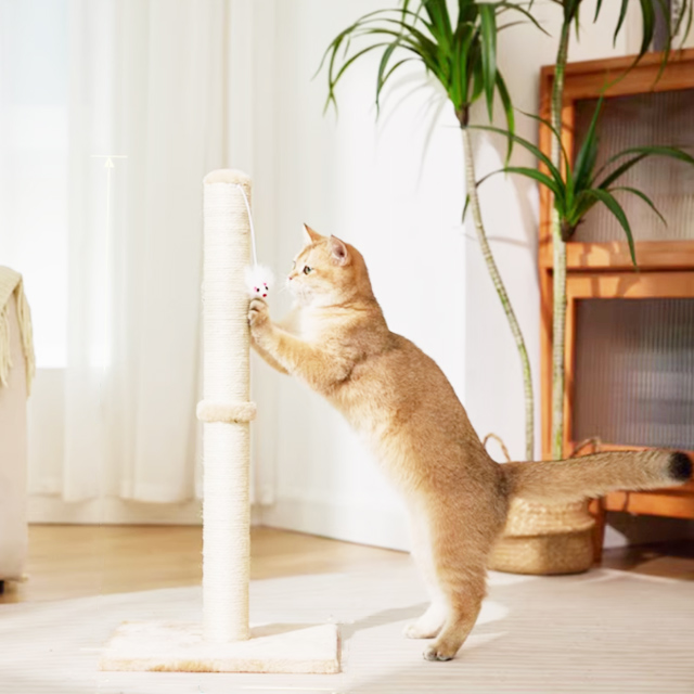 Cat scratching post