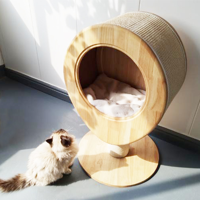 Cat bed